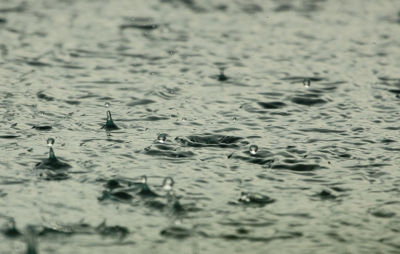 rain815271_960_720.jpg