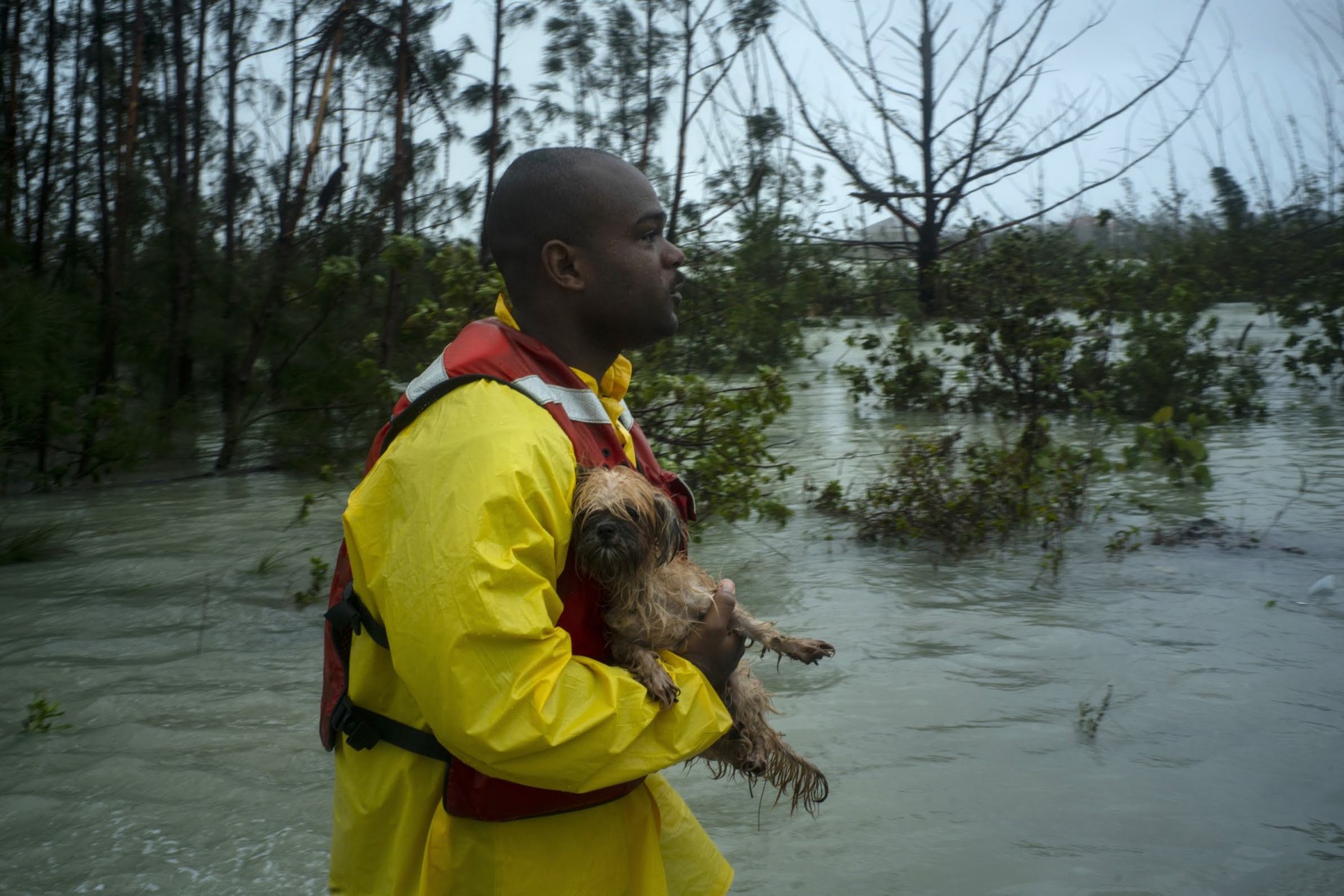 New Satellite May Make Flood Prediction Easier