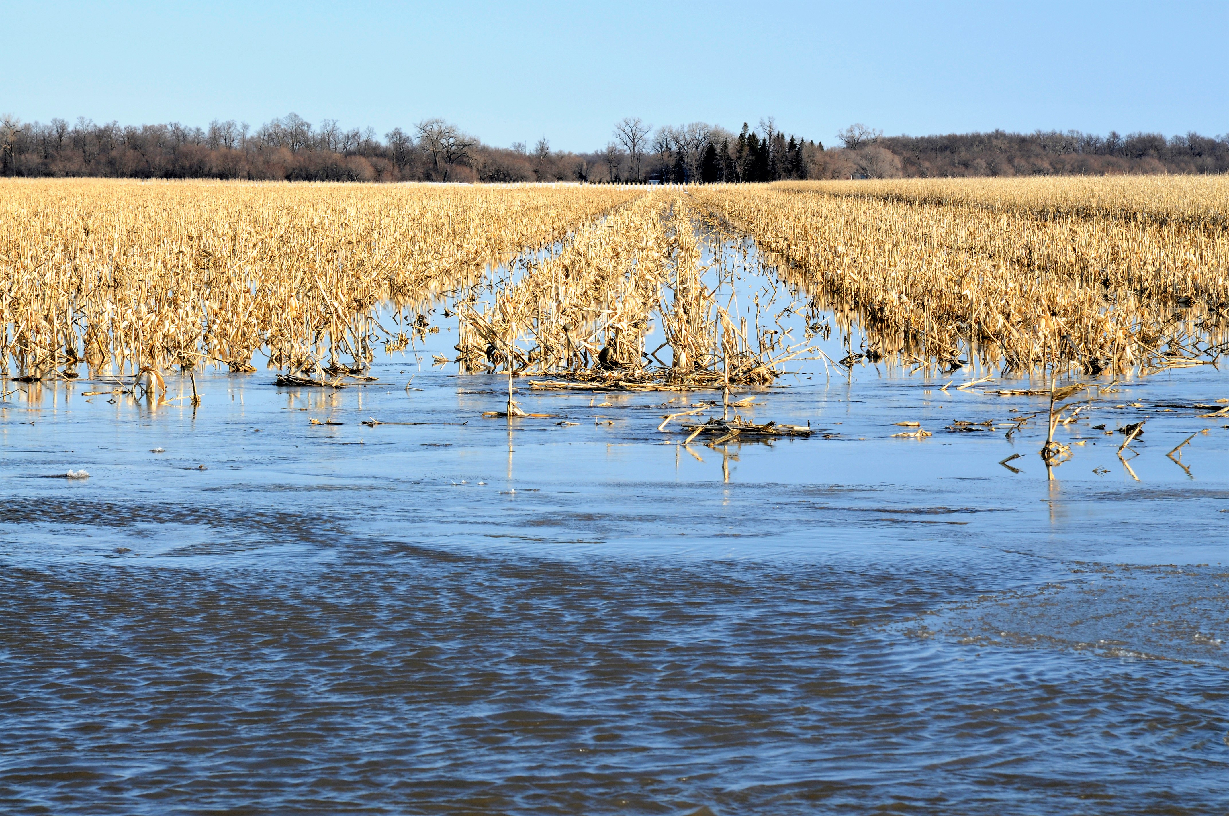 Climate-induced Soil Changes may Cause More Erosion and Flash Flooding