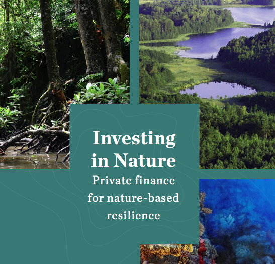 New report details progress on market-based solutions to protect natural capital